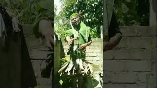 Download lagu SURGA DI BALIK DOSA PARODI NASIDARIA VIRAL TIKTOK #shortsvideo mp3 Download lagu SURGA DI BALIK DOSA PARODI NASIDARIA VIRAL TIKTOK #shortsvideo mp3