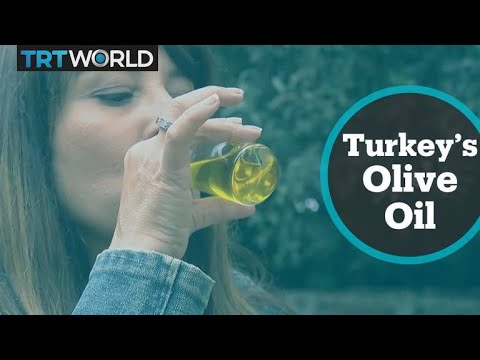 download lagu mp3 mp4 Olive Oil Made In Turkey, download lagu Olive Oil Made In Turkey gratis, unduh video klip Olive Oil Made In Turkey