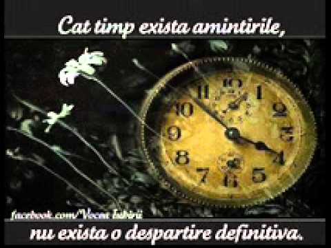 In memoria lui Gabi Negoi