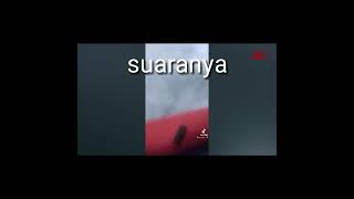 Download lagu suara teriakan minta tolong dari penumpang sriwijaya air!!! mengerikan mp3