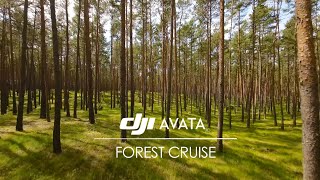 DJI Avata | Relaxing fpv forest cruise | 4k