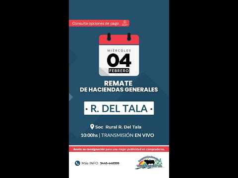 Remate de hacienda Rosario Del Tala 04-02-2026 | Coop. Ganadera El Pronunciamiento