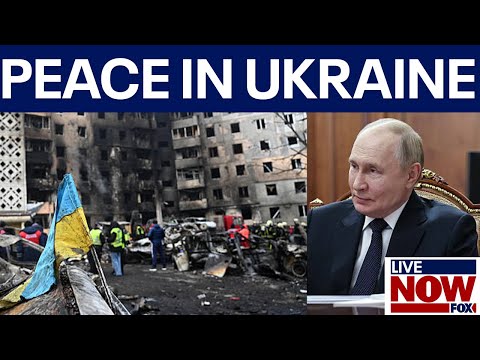 Video | Panel: Ukraine accepts peace plan