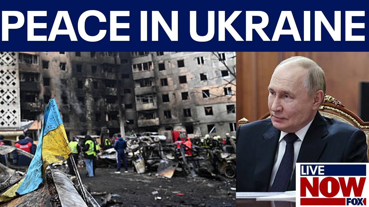 Panel: Ukraine accepts peace plan