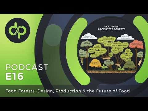 Food Forests: Design, Production & the Future of Food | Discover Permaculture: The Podcast