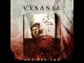 Vesania - God the Lux 