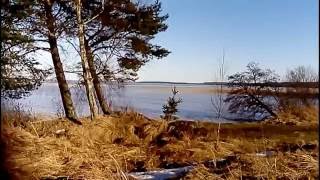 Серпуховской район рыбалка отрадное