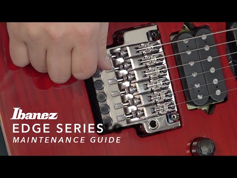 Ibanez Edge Tremolo Black | 2ED1R31B | 