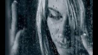 AYER NOMAS LOS GATOS