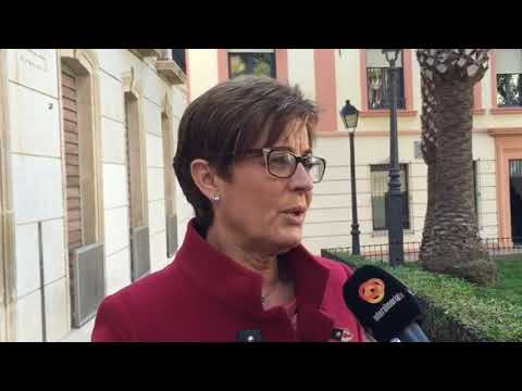 VIDEO. Adriana Valverde. Incumplimiento convenio inserción 300 jóvenes desempleados