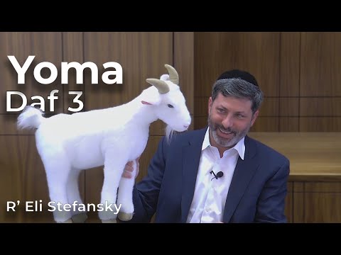 Daf Yomi Yoma Daf 03 by R’ Eli Stefansky