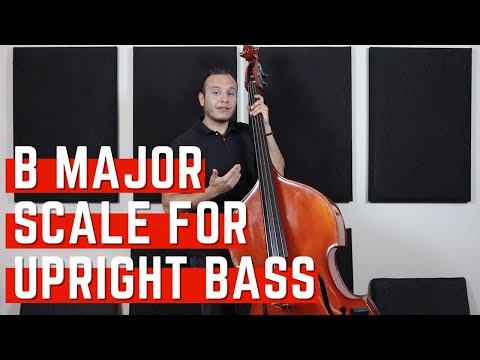 Learn the B major Scale | Upright Bass Lessons