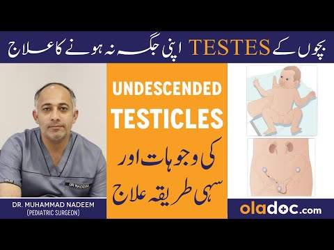 Undescended Testis Ka Ilaj - Undescended Testicles Problem In Urdu - Testicles Ka Apni Jagha Na Hona