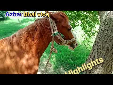 Vlog Introduction By Azhar Bhai vlog |how to introduce yourself in your YouTube Vlog#intro#introvlog