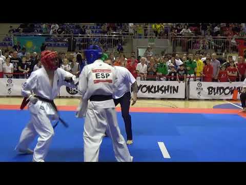 II Wagowe Mistrzostwa Europy Karate Kyokushin