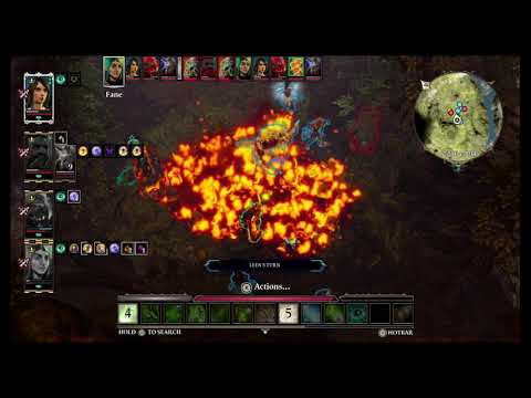 Divinity: Original Sin 2 Battles - Voidwoken Honeybears