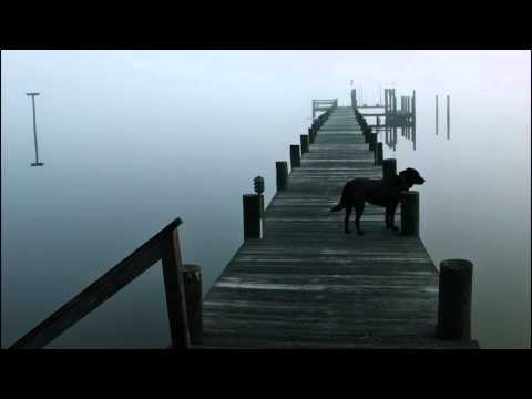 DOGZILLA - Without you