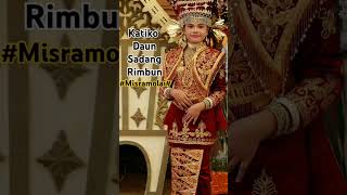 Download lagu Katiko daun Sadang rimbun mp3 Download lagu Katiko daun Sadang rimbun mp3