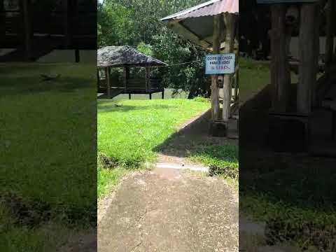 Isla del Cacao Loreto-Orellana-Ecuador.