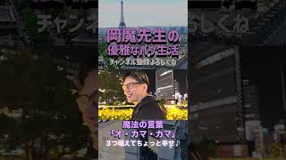 魔法の言葉「オ・カマ・カマ」 #岡魔先生 #パリ