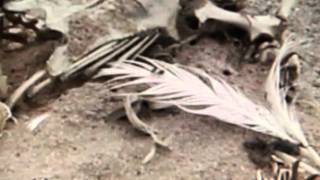 Download lagu Kathryn Joseph \\ the outtakes () mp3