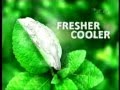 C 1 L A MENTHOL LIGHTS FILTER CLOVE CIG ANMS BUNGLON DAUN BEKU 15 Mpg