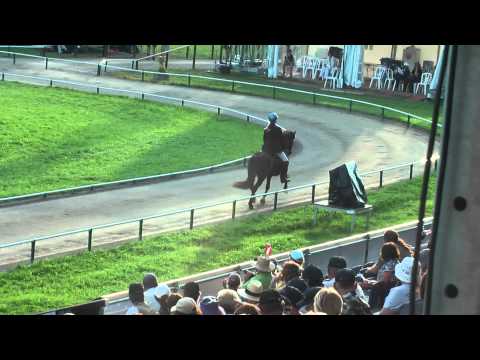 Galdur frá Flagbjarnarholti, WC09F1