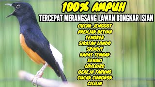 Download lagu MURAI BATU GACOR 100% AMPUH BUAT MEMANCING EMOSI LAWAN AGAR BONGKAR ISIAN mp3 Download lagu MURAI BATU GACOR 100% AMPUH BUAT MEMANCING EMOSI LAWAN AGAR BONGKAR ISIAN mp3