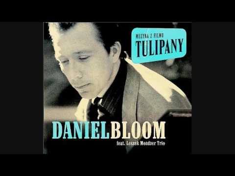 Daniel Bloom - Me on the highway