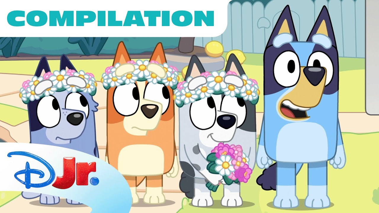 Bluey Compilation | Best of Bluey Season 3 | 90 Minutes | @disneyjr x @BlueyOfficialChannel