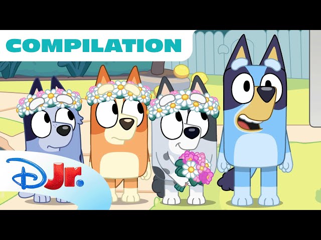 Bluey Compilation | Bluey Season 3 Best Moments | 90 Minutes | @disneyjr SDDEFAULT Thumbnail