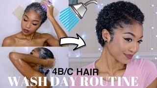 WASH DAY ROUTINE for DRY 4B/C NATURAL HAIR  FROM S