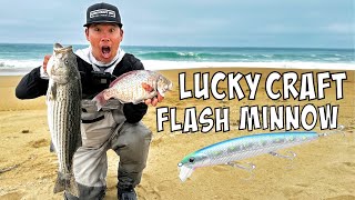 We found em! Surf Fishing Central Coast w/ Lucky Craft Flash Minnow