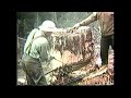 Logging Operations 1950 S Vintage Lumberjack Lumber Industry Safety Film