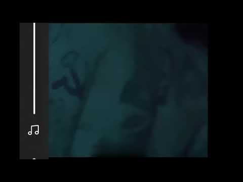 Cecilio G - Quiero una verga [Tecno]