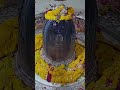 Mahakaleshwar Abhishekam Mahakaleshwar Ujjainmahakal Abhishek Lordshiva Abhishekam Shivalord