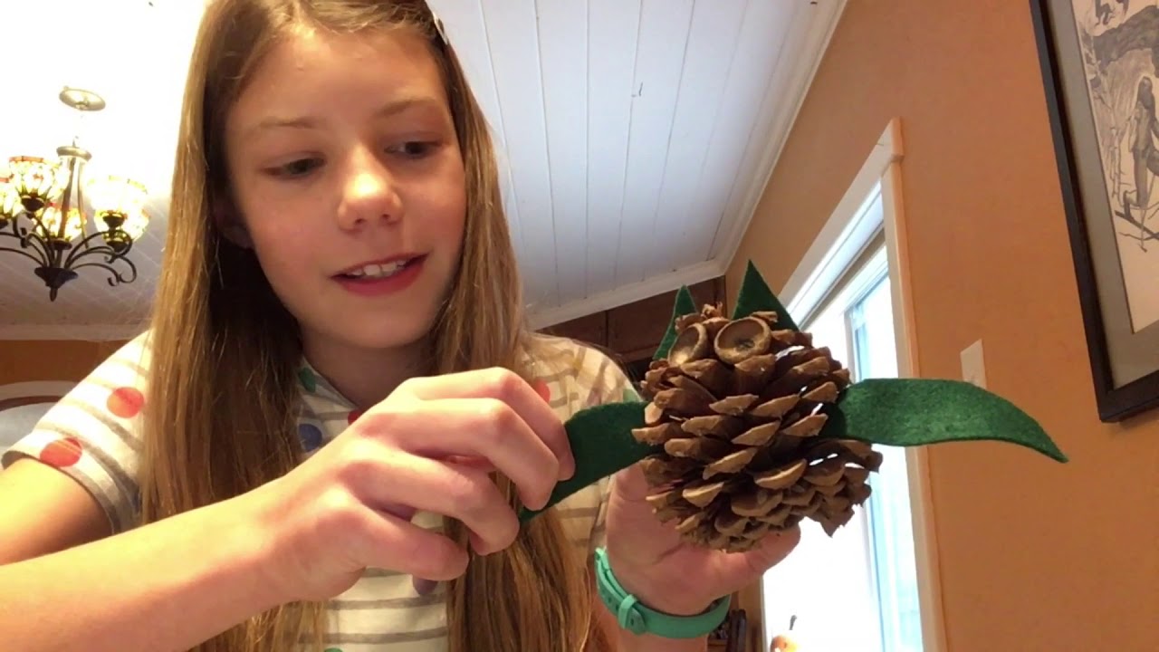 Winter Nature Crafts: Pine cone owl