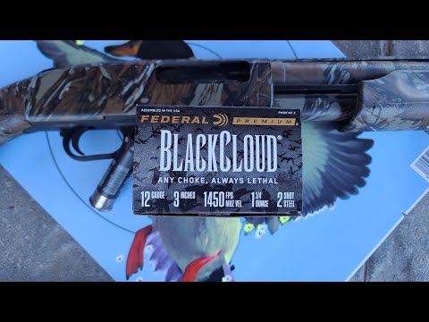 Wal-Mart Federal Shotshell Ammunition Review - Cheap Ammo