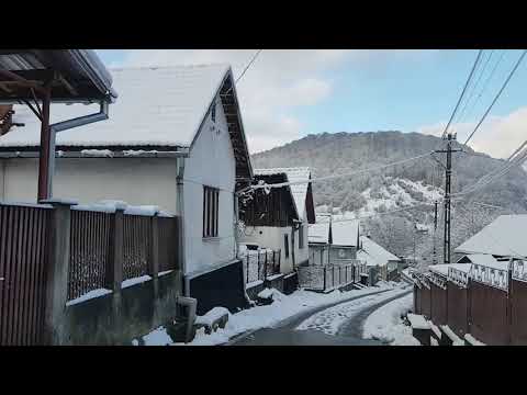 Comuna Nadrag (Aleea Alunului, Aleea Bradului, Aleea Teiului) (Decembrie 2017)