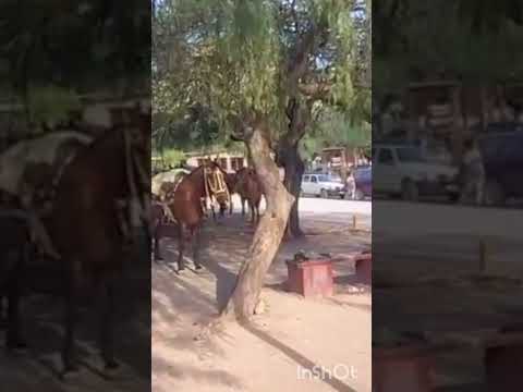 San Marcos Sierras, Córdoba, Argentina.#sanmarcossierras