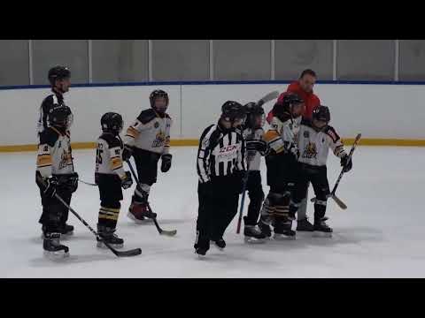 U14 Szekszárdi Jégmadarak - Zempléni Hiúzok 2023 01 14 összefoglaló