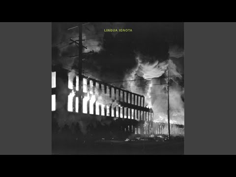 The Chosen One Master - Lingua Ignota