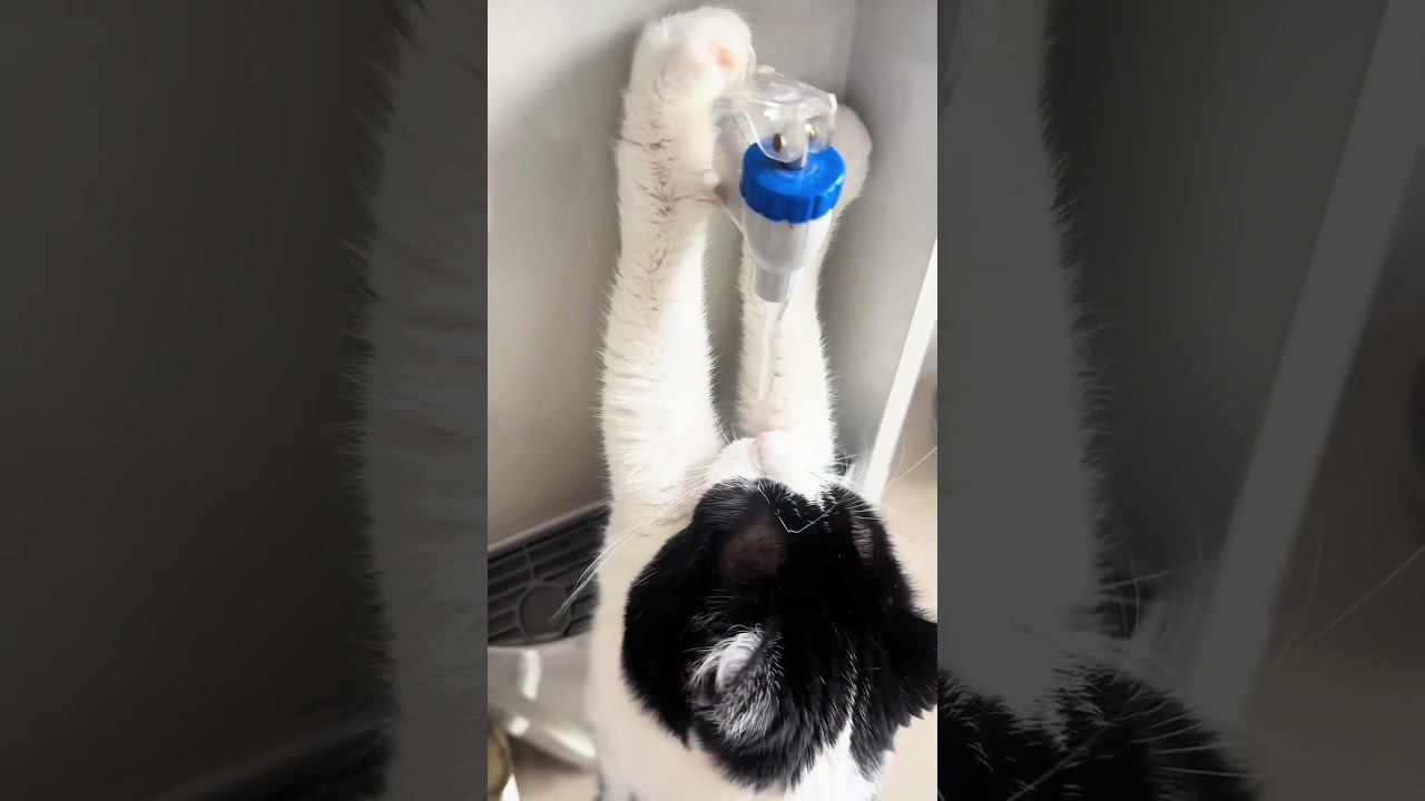 ��������� ����� �� ����� - ��� ������ ����