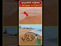 Real Life Murugan Story Tiruchendur Temple Elephant Tiruchendur Murugan Murugan Shorts