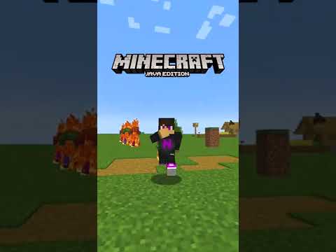 DIFERENCIAS ENTRE Minecraft JAVA Vs BEDROCK 👀 Parte 12 #shorts