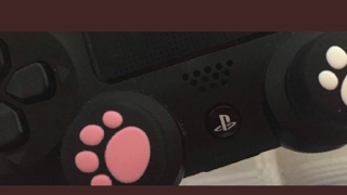 最弱女子がじばくちゃんと行くbo3
