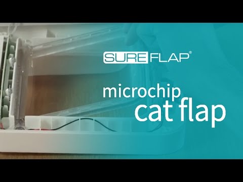 Replacing the door on the SureFlap Microchip Cat Door