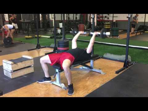 Ez up weights Ez up weights