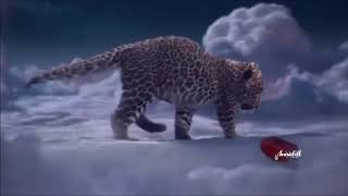 🎄★In The Bleak Midwinter ★ Paul Cardall &amp; Audrey Assad  🎄