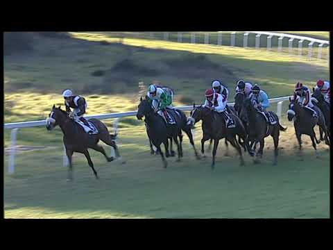 2020-03-08 corsa 5 metri 1600 Premio Andreina